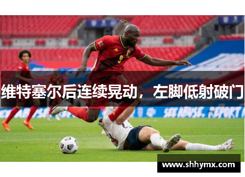 维特塞尔后连续晃动，左脚低射破门　